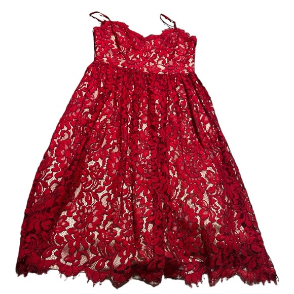 Eliza J Red lace fit and flare dress - Picture 1 of 8